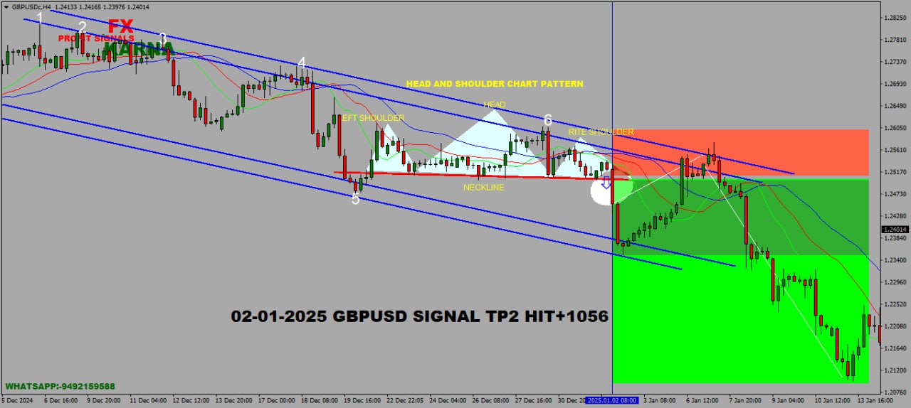 IMG_20250224_145905_918