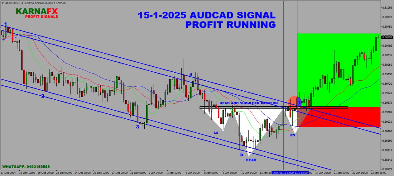 IMG_20250224_150012_123