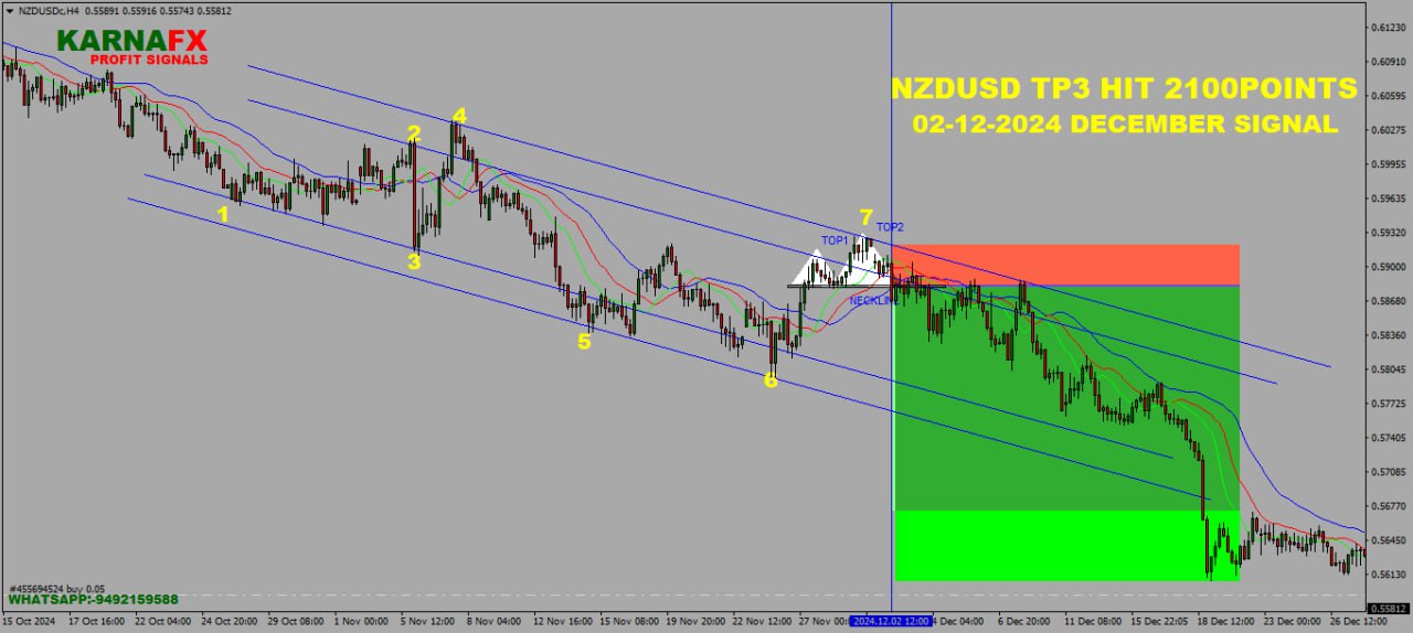 IMG_20250224_150134_151