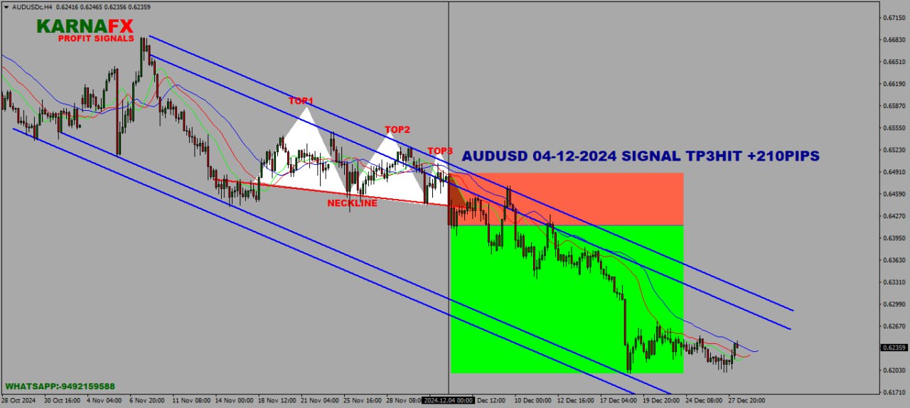 IMG_20250224_150639_388